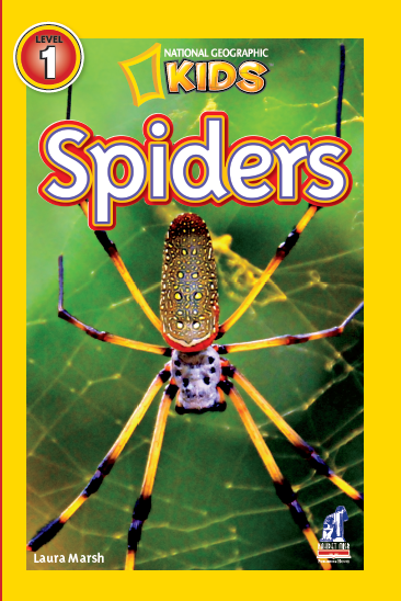 Spiders